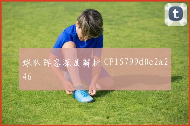 球队阵容深度解析 CP15799d0c2a246