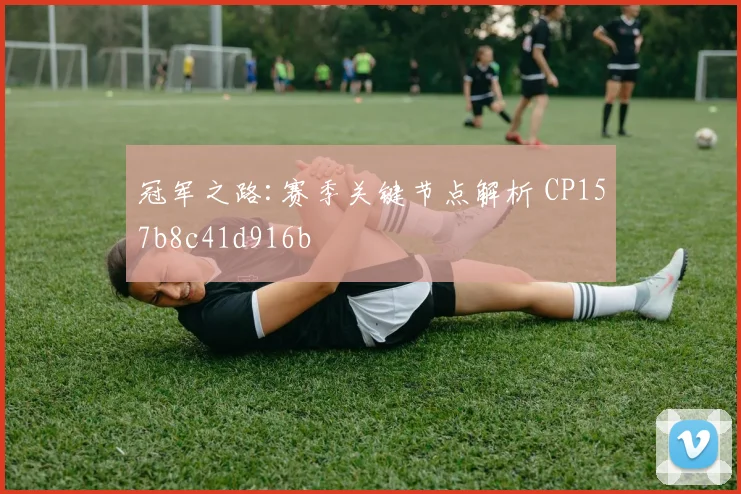 冠军之路:赛季关键节点解析 CP157b8c41d916b